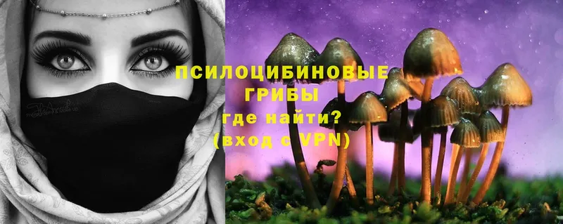 купить наркотики цена  Карабаново  Псилоцибиновые грибы MAGIC MUSHROOMS 